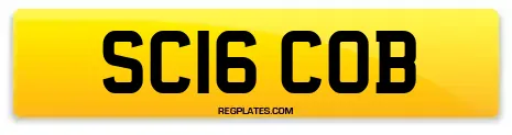SC16 COB