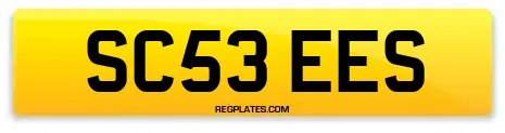 SC53 EES