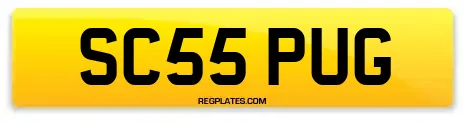 SC55 PUG