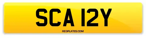 SCA 12Y