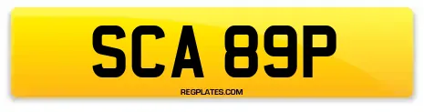 SCA 89P