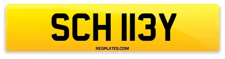 SCH 113Y