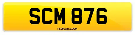 SCM 876
