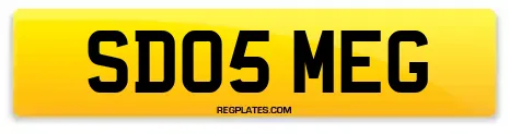 SD05 MEG