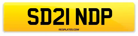 SD21 NDP