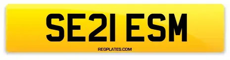 SE21 ESM