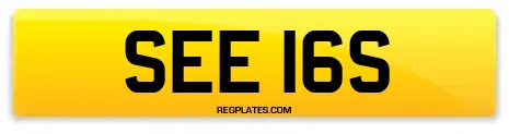 SEE 16S