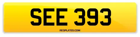 SEE 393