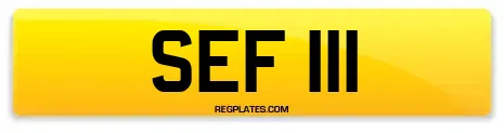 SEF 111