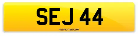SEJ 44
