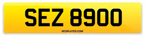 SEZ 8900
