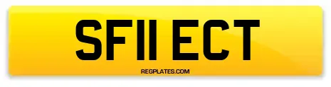 SF11 ECT