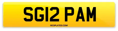 SG12 PAM
