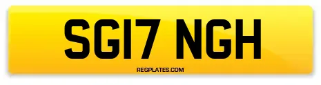 SG17 NGH
