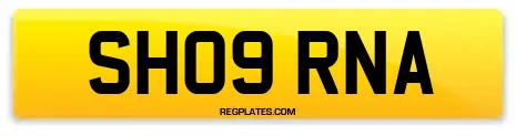 SH09 RNA