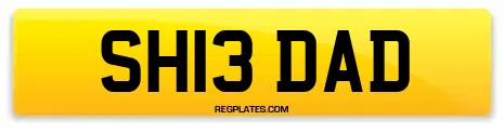 SH13 DAD