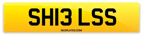 SH13 LSS