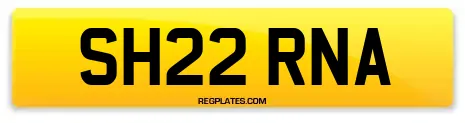 SH22 RNA
