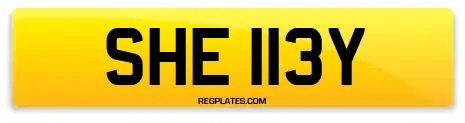 SHE 113Y