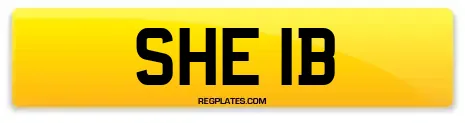 SHE 1B