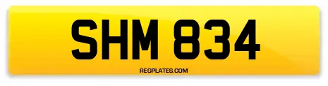 SHM 834