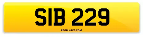 SIB 229