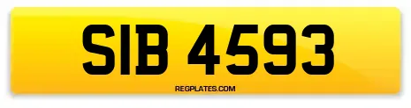 SIB 4593