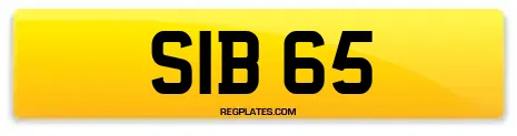 SIB 65