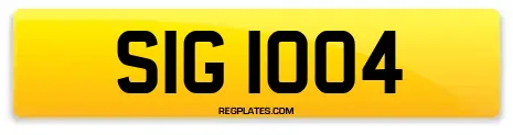 SIG 1004