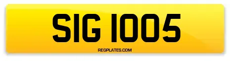 SIG 1005