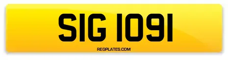 SIG 1091