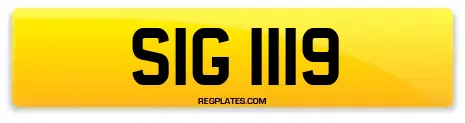 SIG 1119