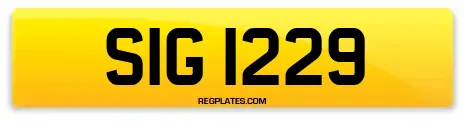 SIG 1229