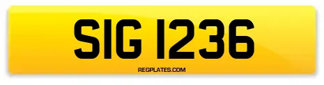 SIG 1236