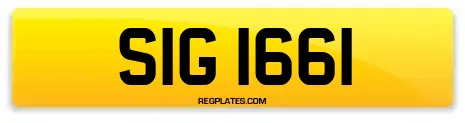 SIG 1661