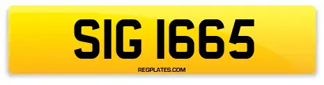 SIG 1665