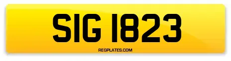 SIG 1823