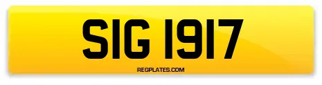 SIG 1917