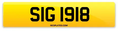 SIG 1918