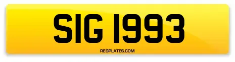 SIG 1993