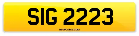 SIG 2223