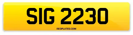 SIG 2230