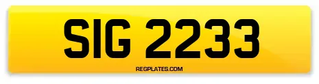 SIG 2233