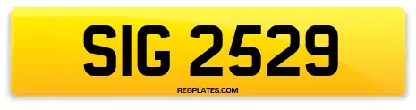 SIG 2529
