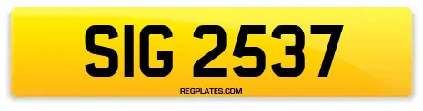 SIG 2537
