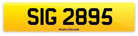 SIG 2895