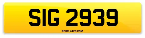 SIG 2939