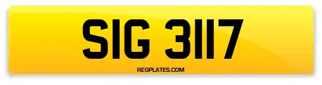 SIG 3117