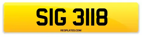 SIG 3118