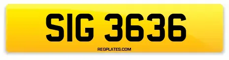 SIG 3636